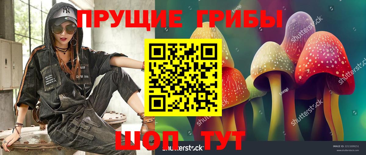 Галлюциногенные грибы GOLDEN TEACHER  цены наркотик  Арзамас  Вход с VPN 